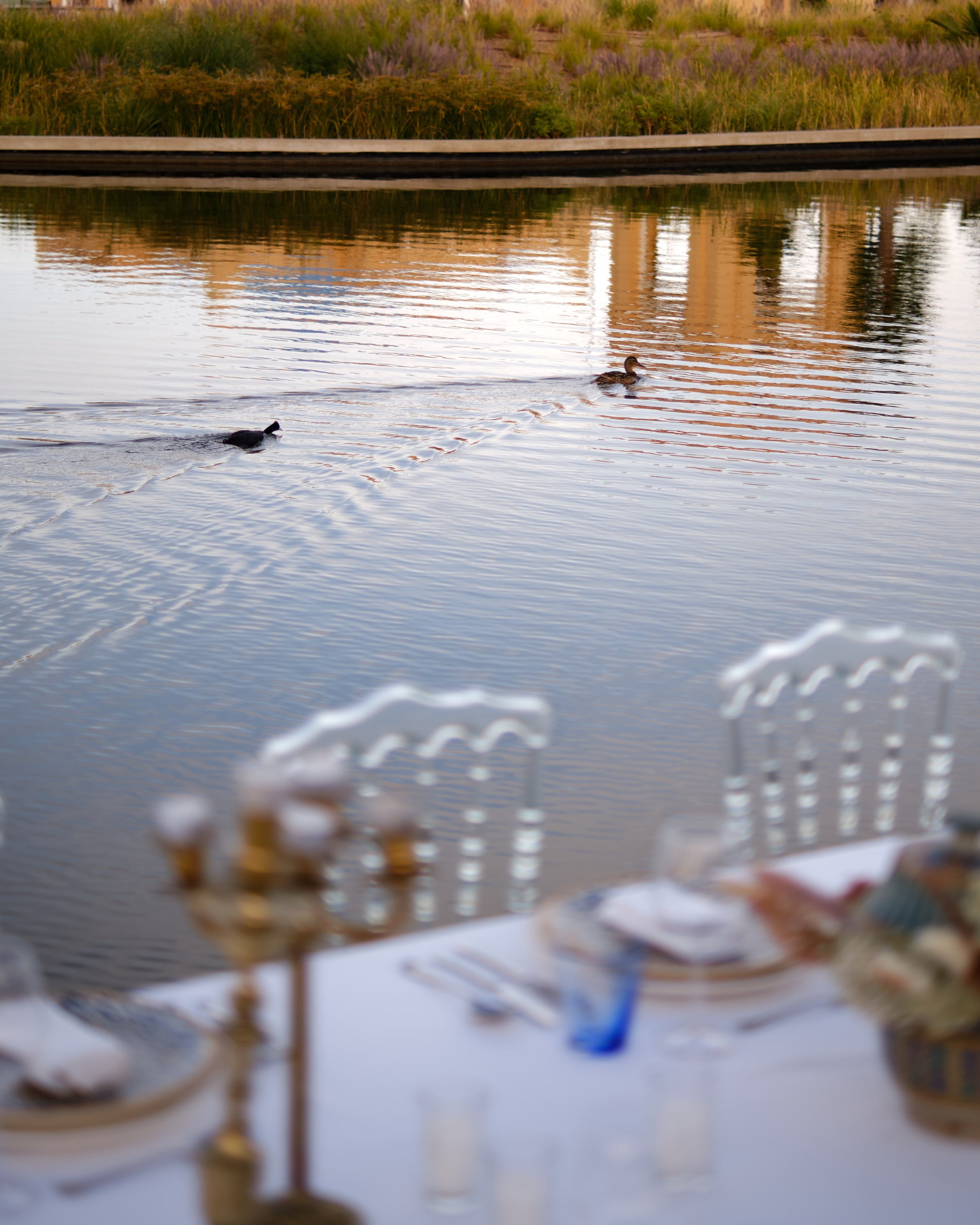 Ducks swimming in a serene pond, viewed from an elegantly set wedding table at Banyan Tree Tamouda Bay.